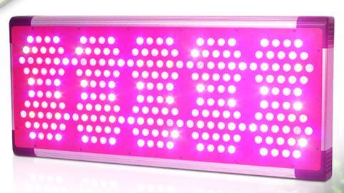 Hydroponic Grow Indoor Led Grow Light