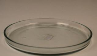 Clear Glass Plate