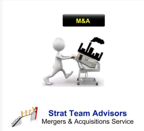 Merger And Acquisition Service By Strat Team Advisors