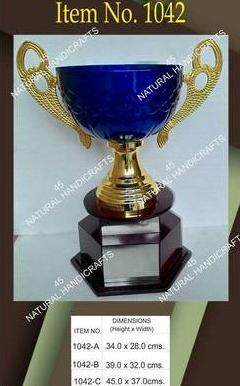 Attractive Premium Trophy