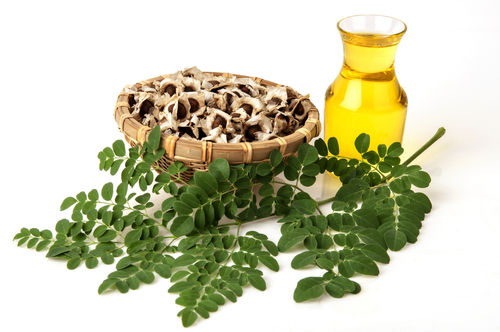 Moringa Oil Application: Good Working And Better Network