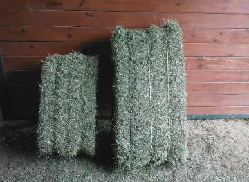 Alfalfa Timothy and Rhodes Grass Hay Bales
