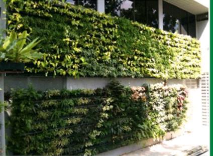 Vertical Plant Farming Vertical Gardening System Green Walls