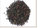 Black Pepper