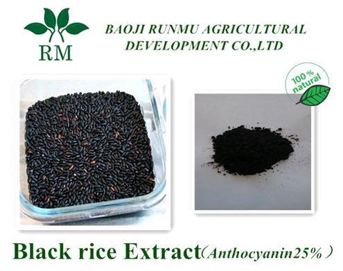 Black Rice Extract Anthocyanidins 25%