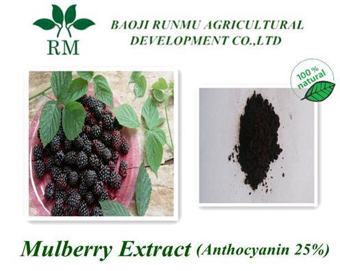 Mulberry Extract Anthocyanidins 25%