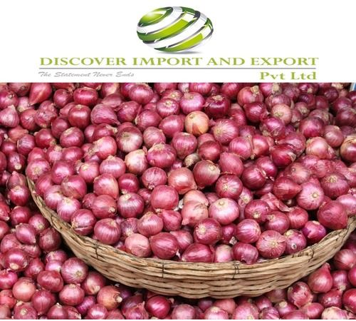 Indian Export Onion