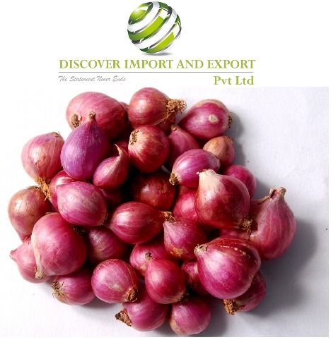 Indian Onion Supplier