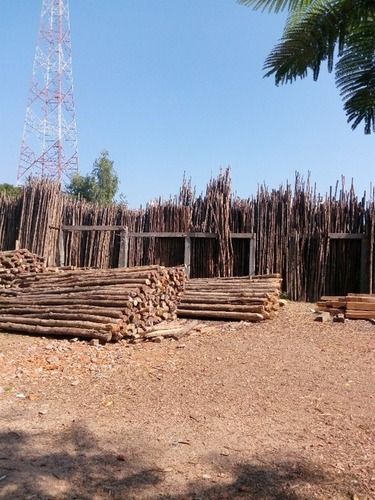 Teak And Nilgiri Wood