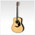 Acoustic Guitars