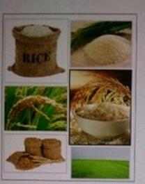 Parboiled Rice (IR 36/IR 64)