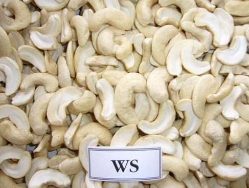 Vietnam Cashew Kernels