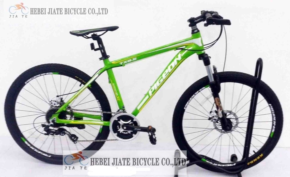 Stainless Steel Frame Mountain Bike / Bicycle