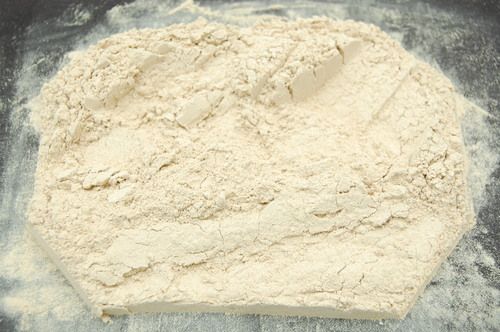 Garlic Dehydrated Powder