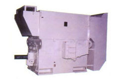 High Voltage Ac Motors (Megapack Closed Type Cage)
