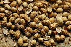 Coriander Seeds - High Quality Spice, Widely Appreciated Nationwide, Reasonably Priced