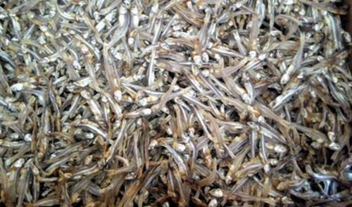 Vietnamese Dried Anchovy Fish