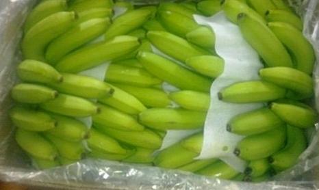 Vietnamese Green Cavendish Banana