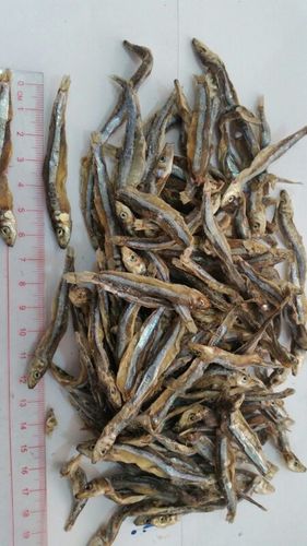 Dried Anchovy By Hang Xanh export co.,ldt