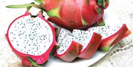 Vietnamese Dragon Fruit (Fresh Or Iqf)