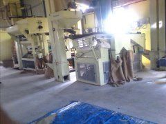 Silver Durable Automatic Seed Processing Plant