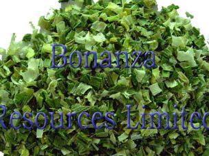 Dehydrated Chives Flakes