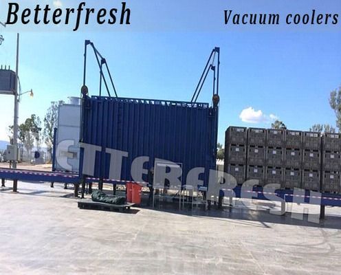 Betterfresh Broccoli Spinach Vegetable Vacuum Chiller/Cooler/Cooling Machine/Tube