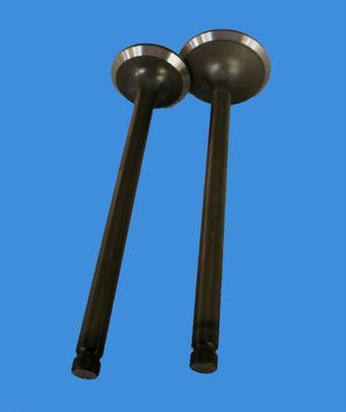 Inlet And Exhaust Valve for 4D56