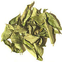 Dry Curry Tree Leaves