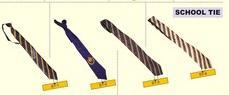 School Tie