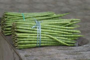 Drumstick Vegetable