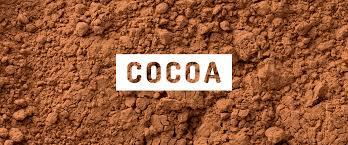 Alkalize Cocoa Powder