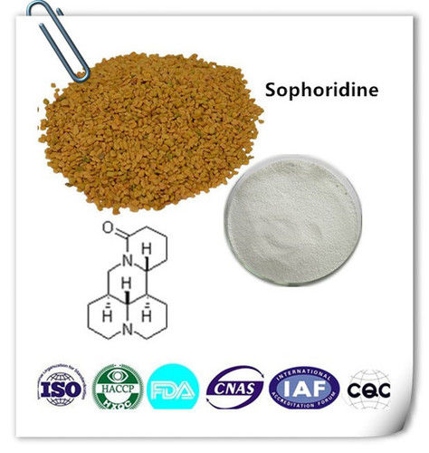 Sophoridine