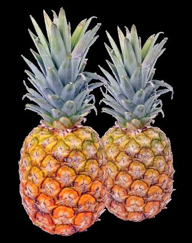 Rich in Taste and Fresh Pineapple