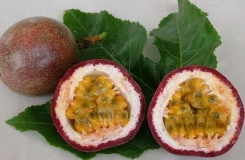 Passion Fruit Pulp