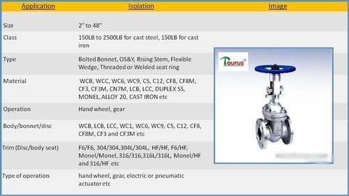 Wcb/Cs Gate Valve Fe