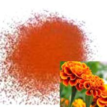 Lutein - 5%-80% HPLC/UV Concentration | Premium Marigold Flower Extract, CNAS and ISO Certified Quality