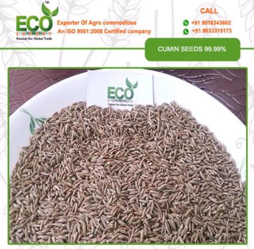 Finest Grade Cumin Seed