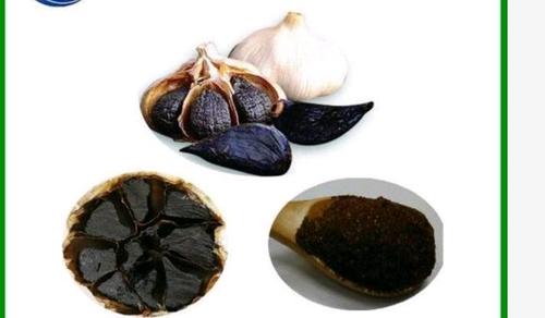 Black Garlic Extract