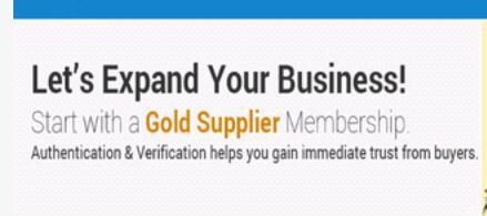 Development Services
