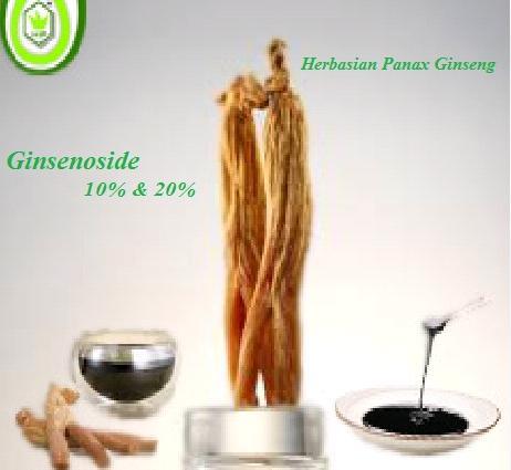 Panax Ginseng