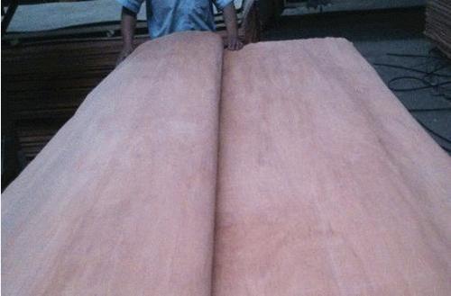 Factory Sale High Quality Dillenia Wood Veneer