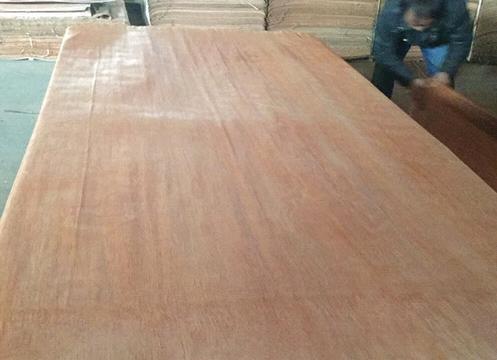 Factory Sale High Quality Rotary Cut Plb Wood Veneer