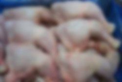 Brazilian Halal Frozen Whole Chicken And Chicken