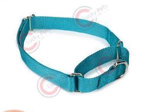 Nylon Martingale Dog Training Collar With Metal Buckle