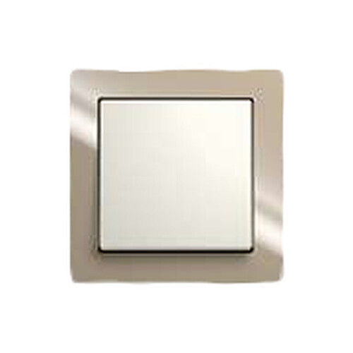 White And Brown Thermoplastic Cover Busch Light Switch