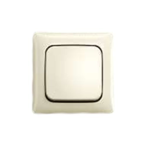 Surface Mounted Busch-Duro 2000 Ap Light Switch