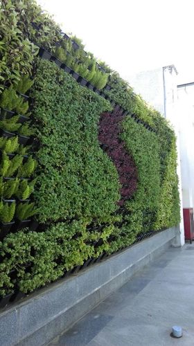 Vertical Garden Wall