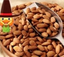 Almond Nut