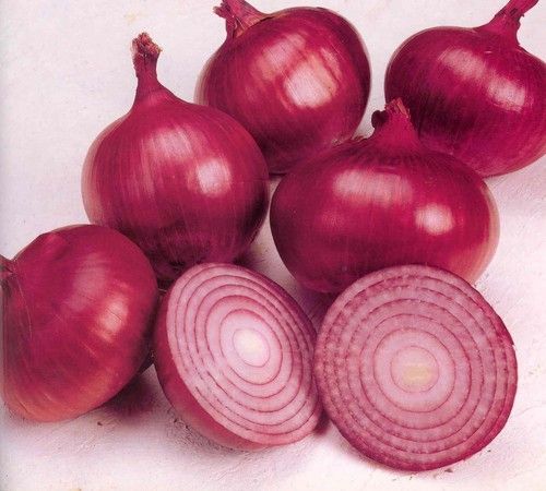 Fresh Onions